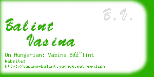 balint vasina business card